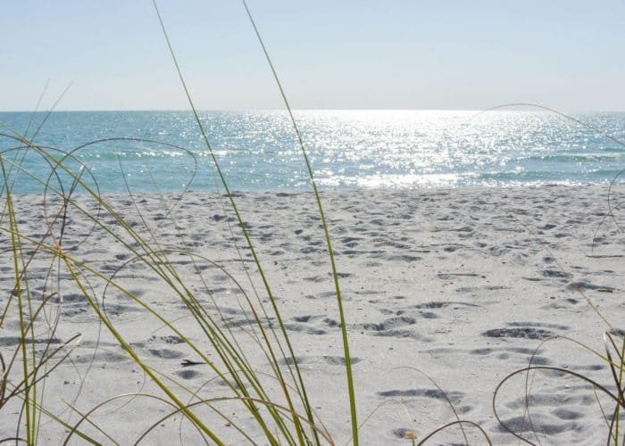 Beach wedding at Nokomis Beach on Florida's Gulf Coast