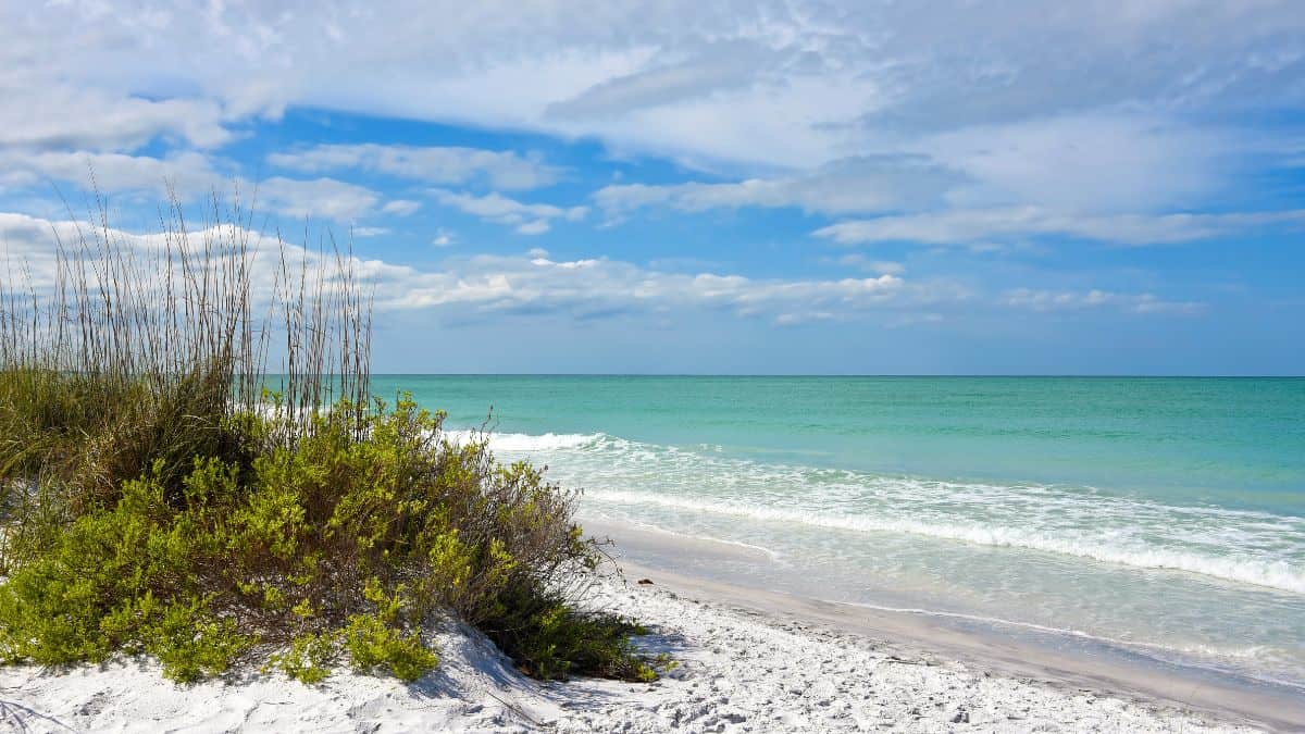 Beach wedding at Sand Key Park on Florida's Gulf Coast