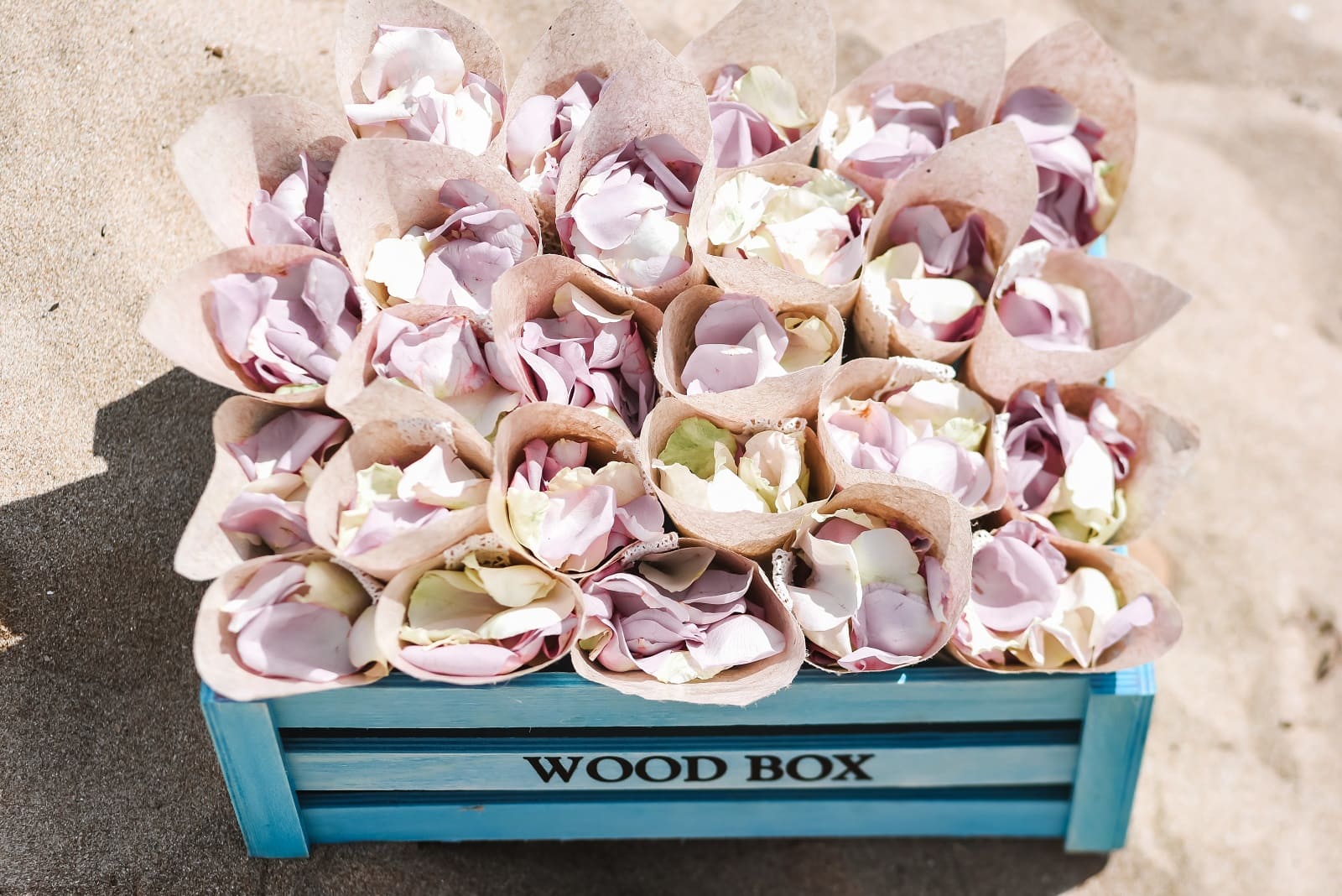 A crate of rose-petal cones ready for the toss at Sand Key Park