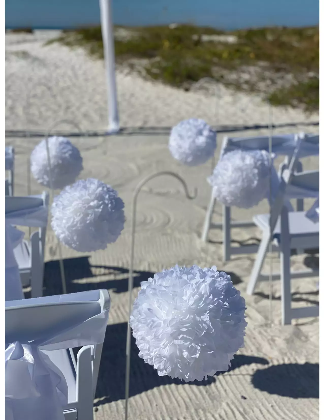 White pom-pom flowers lining the aisle with white chairs at Sand Key Park