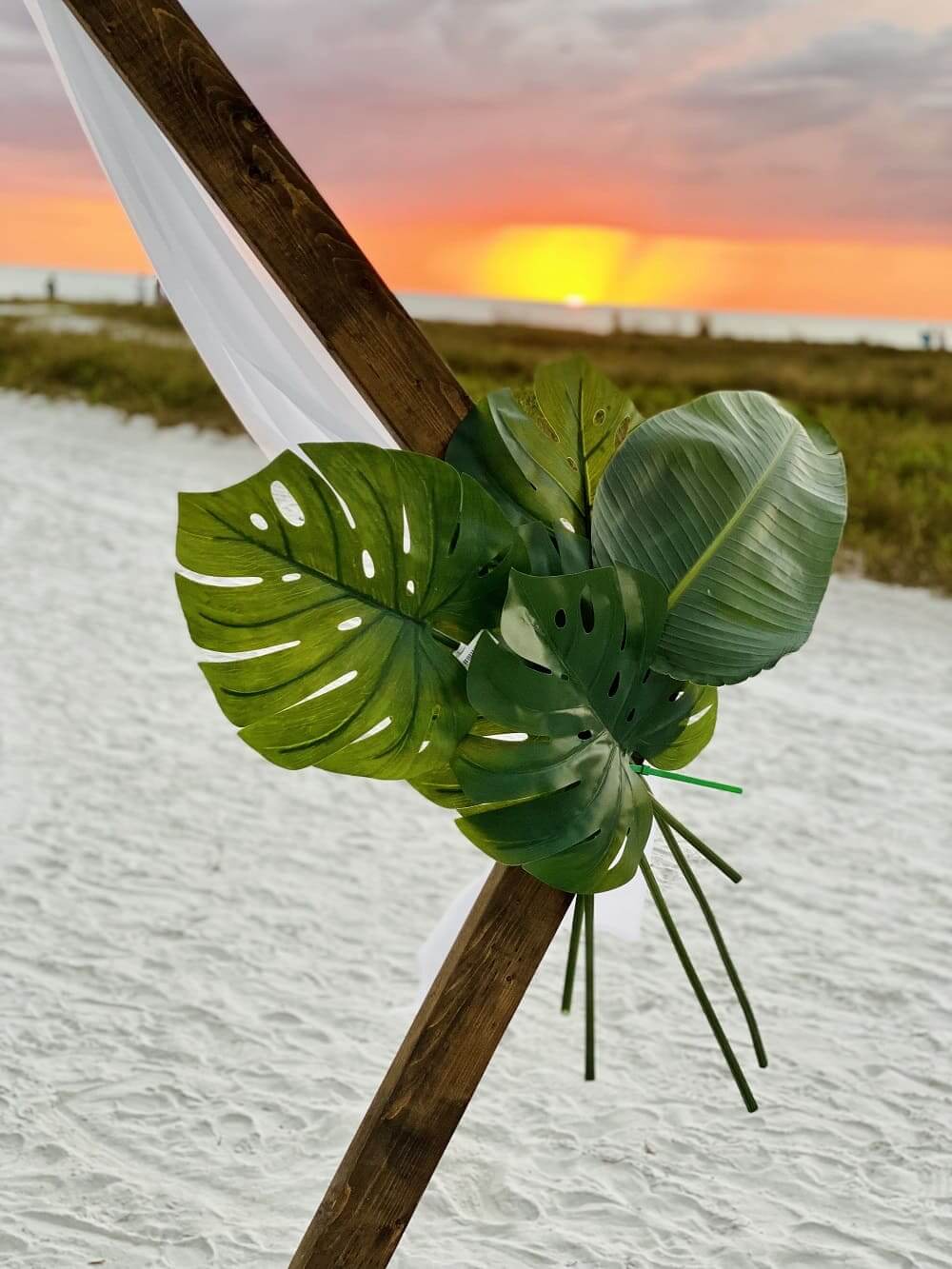 Tropical monstera leaves on an arch against a Gulf sunset near Sarasota